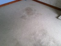 Supreme Carpet Cleaning 354522 Image 6